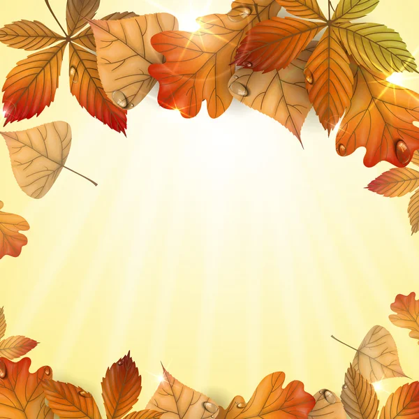 Herfst achtergrond met bladeren. — Stockvector