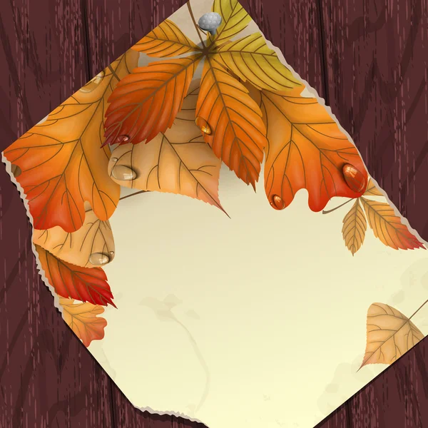 Fondo de otoño con hojas. — Archivo Imágenes Vectoriales