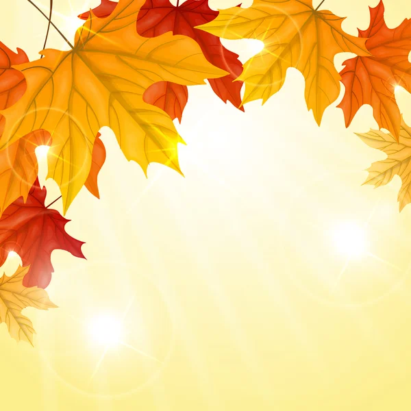 Fondo de otoño con hojas. — Vector de stock