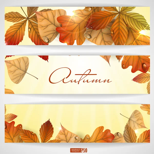 Autumn background with leaves. — Stock Vector