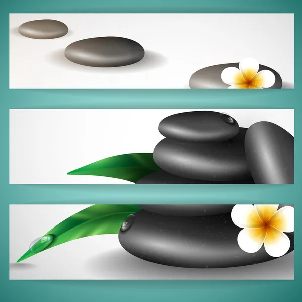 Wellness-Steine mit Frangipani-Blume. — Stockvektor