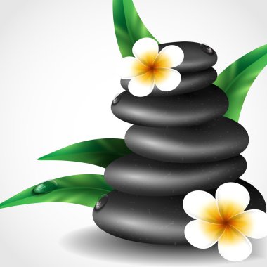 Spa frangipani çiçek taşlarla.