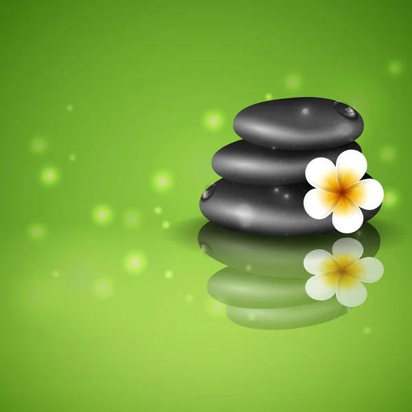 Spa stenen met frangipani bloem. — Stockvector