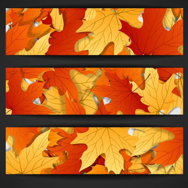 Autumn Leaves Background. — Stock Vector