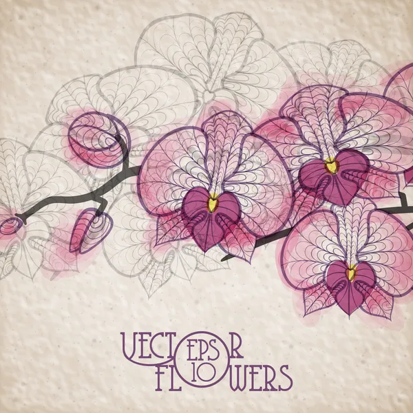 Dibujo a mano flor orquídea — Archivo Imágenes Vectoriales