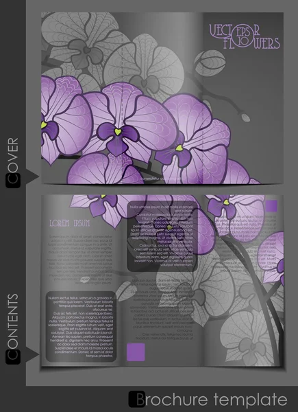 Diseño de plantilla de folleto — Archivo Imágenes Vectoriales