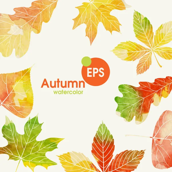 Autumn Background With Leaves — Stock Vector