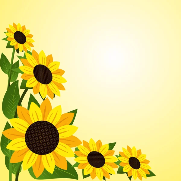 Flower border with Sunflowers.