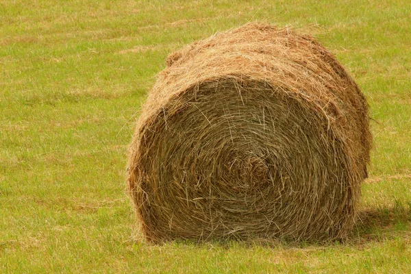 Roll of hay — Stock Photo, Image