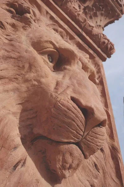 Majestueux Lion Royal Avec Regard Très Intense Détail Coin Bâtiment — Photo