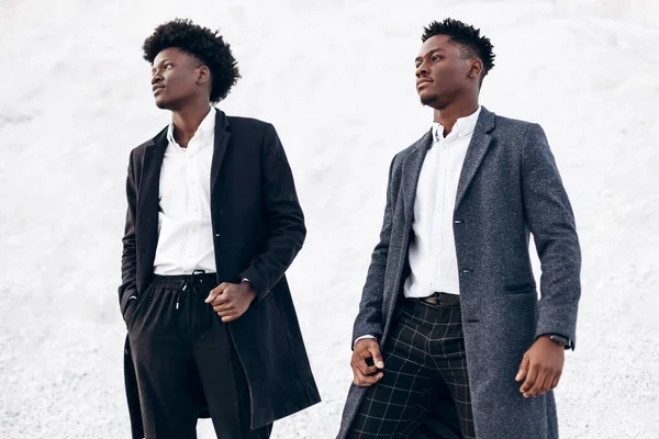 İki modaya uygun Afrikalı siyah erkek, açık havada, şık klasik kıyafetler içinde, şık saç stili, yakışıklı erkekler, manken portresi, moda konsepti, erkek giyimi
