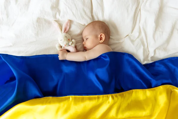 Sleeping Baby Favorite Soft Toy His Hand Covered Blue Yellow — Stock Photo, Image