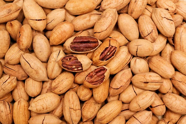 Pecan achtergrond — Stockfoto