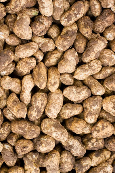 Fresh peanut background — Stock Photo, Image