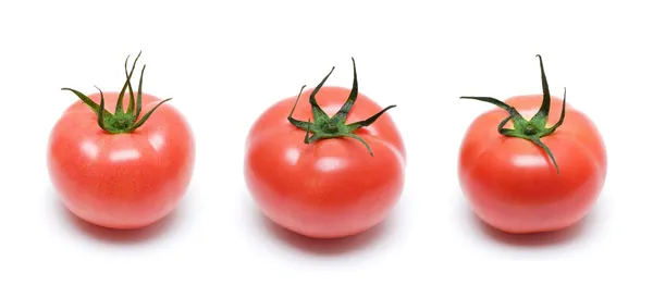 Tomato isolated — Stock Photo, Image