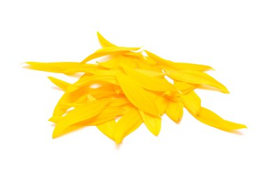 Ayçiçeği yaprakları