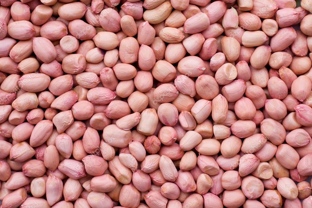 Peanut kernel background — Stock Photo © dpp2012 12648650