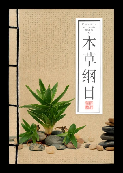 Starożytny chiński medycznych książek (ścieżka przycinająca) — Zdjęcie stockowe