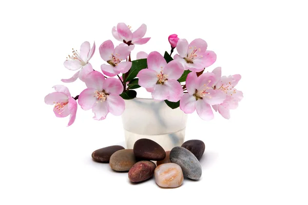 Spa stones with flowers — Stock Photo, Image