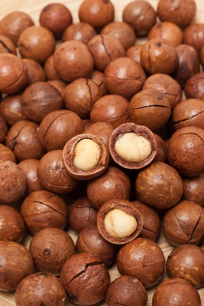 Macadamia-Nüsse — Stockfoto