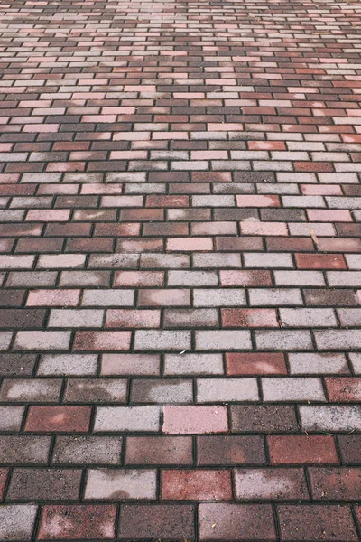 Brick Walk Way — Stock Photo, Image