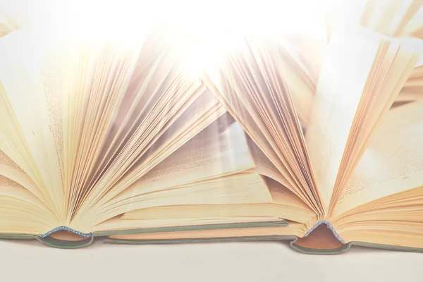 Open books in the rays Stock Image