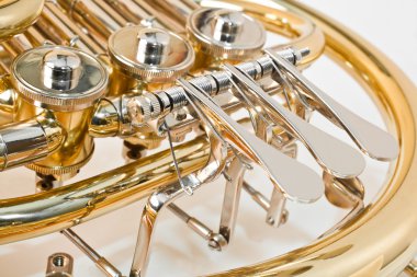 French horn closeup clipart