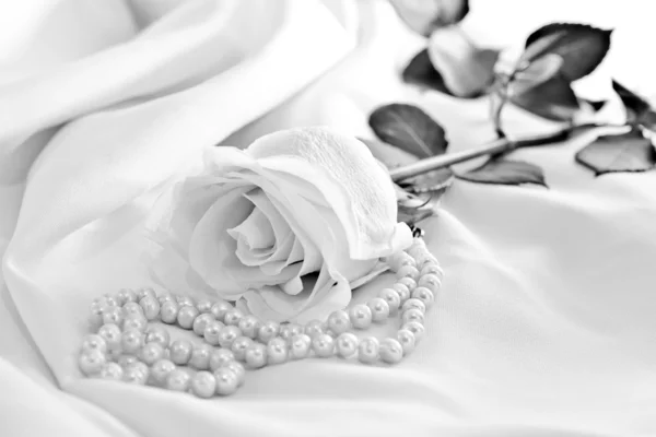 Roses with pearls — Stock Photo, Image