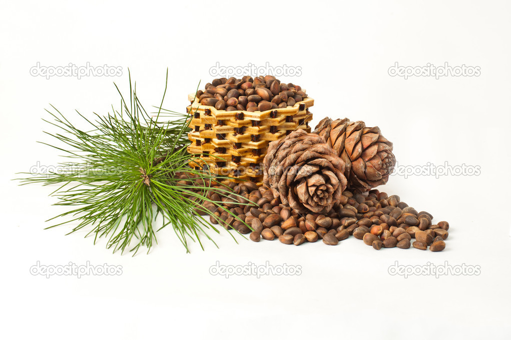 Still life with cedar cones
