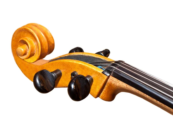 Violin neck i — Stock Photo, Image