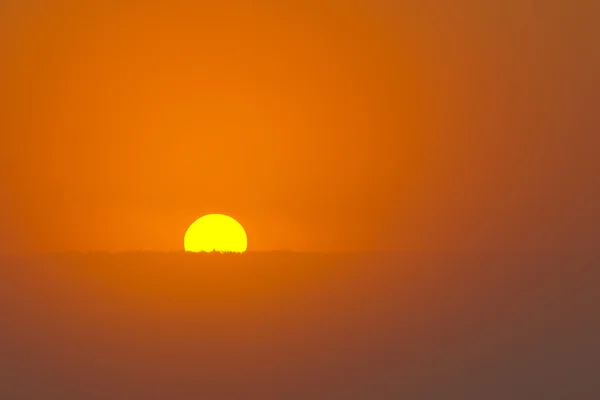 霧の中で太陽が昇る — ストック写真