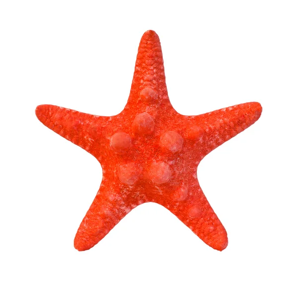 depositphotos_44862765-stock-photo-starfish.jpg
