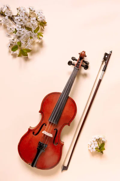 Nahaufnahme Von Zweig Der Blühenden Kirsche Und Geige Mit Schleife — Stockfoto