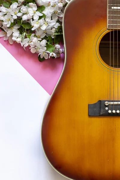 Akustik Gitar Çiçek Açan Elma Ağacı Dalları Pembe Parlak Kalın — Stok fotoğraf