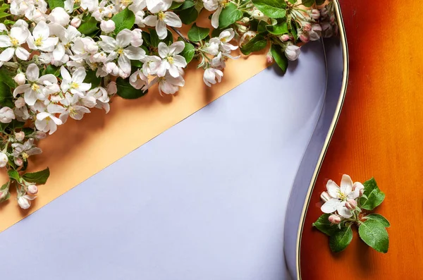 Close Branch Blossoming Apple Tree Acoustic Guitar Coral Pastel Light — Fotografia de Stock