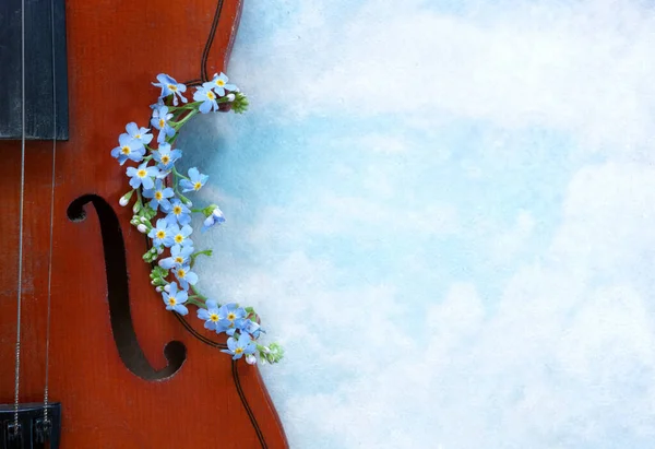 Close Violin Beautiful Blue Spring Forgot Flowers Blurred Cloudy Sky — Stock Photo, Image