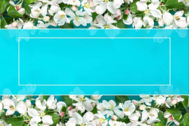 Model, kopyalama alanı, Güzel Beyaz Çiçekli Elma Ağacı arkaplanındaki metnimiz için yer