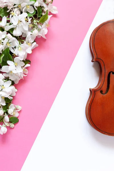 Close Branch Blossoming Apple Tree Violin White Trendy Pacific Pink — Stock Photo, Image
