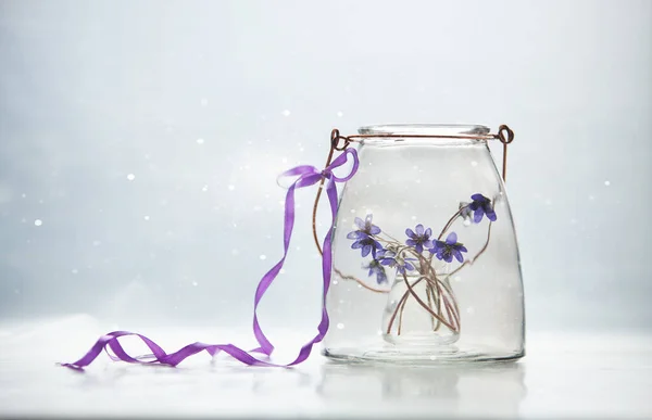 Skład Przezroczystymi Szklanymi Butelkami Delikatnymi Wiosennymi Kwiatami Wątrobowca — Zdjęcie stockowe