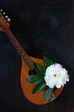 Mandolin - telli bir müzik aleti ve güzel beyaz bir şakayık çiçeği.