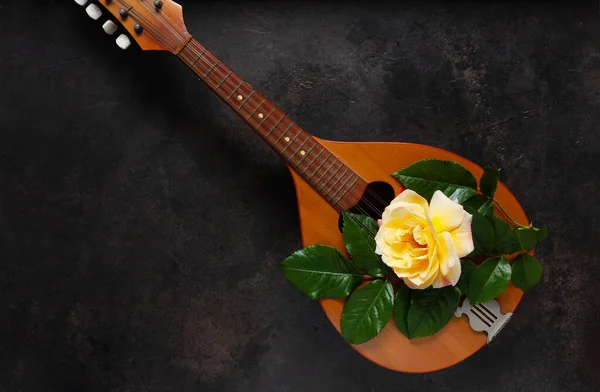 Mandolin Instrumento Musical Depenado Com Cordas Uma Bela Flor Rosa — Fotografia de Stock