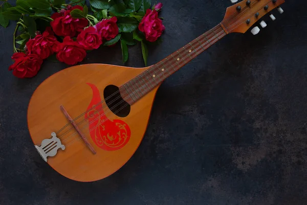Mandolin Telli Bir Müzik Aleti Güzel Kırmızı Güller — Stok fotoğraf