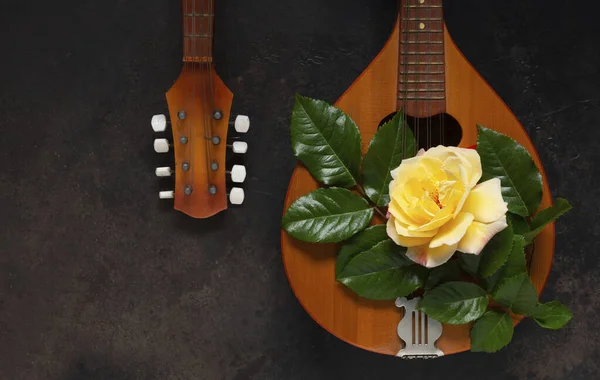Mandolin Stringed Plucked Musical Instrument Beautiful Yellow Tea Rose Flower — Stock Photo, Image