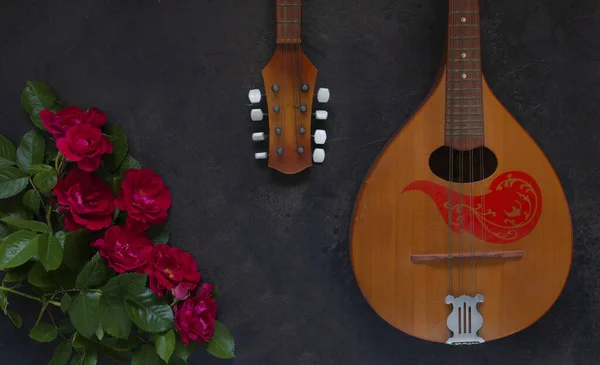 Mandolin Telli Bir Müzik Aleti Güzel Kırmızı Güller — Stok fotoğraf
