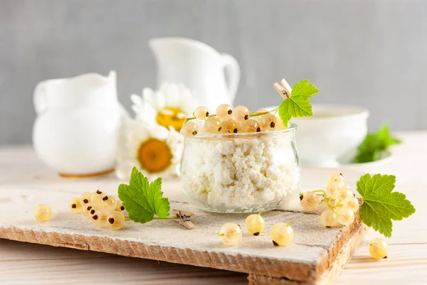Homemade Cottage Cheese Ripe White Currants Healthy Breakfast — Stok Foto