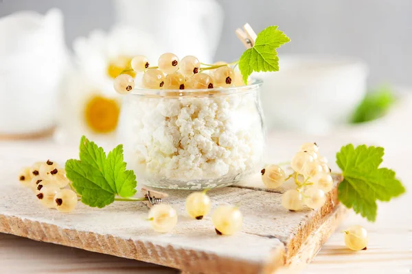 Homemade Cottage Cheese Ripe White Currants Healthy Breakfast — Stok Foto