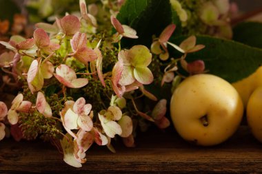 Fresh beautiful hydrangea flowers and apples on the table close-up on vintage wooden background, selective focus	