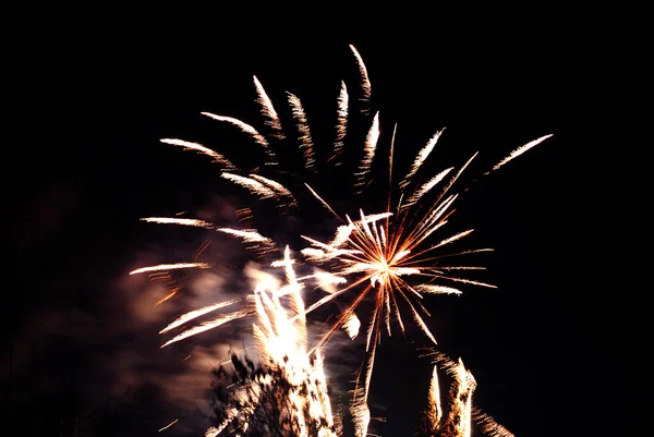 Tatil fireworks gökyüzünde — Stok fotoğraf