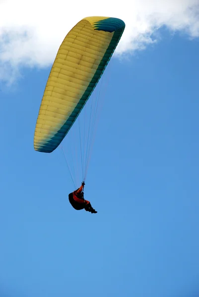 Paraquedistas no fundo do céu azul clody — Fotografia de Stock