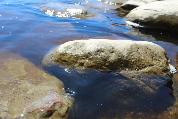 夏の大きな石の上を流れる澄んだ水 写真石と水 大きな石が水の中にある 石の間には澄んだ水がある 太陽の反射は水の中に反映されます 美しい風景 — ストック写真